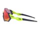 OAKLEY FLIGHT JACKET BLACK/GREEN PRIZM