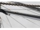 COLNAGO ARABESQUE GOLD 50TH