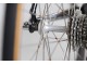COLNAGO ARABESQUE GOLD 50TH