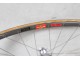 COLNAGO ARABESQUE GOLD 50TH