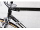 COLNAGO ARABESQUE GOLD 50TH