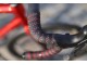 COLNAGO C64 DISC