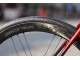 COLNAGO C64 DISC