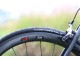 COLNAGO C60 PLRD