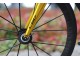 COLNAGO C60 PLGL