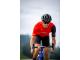 WILIER MAGLIA LANZAROTE JERSEY