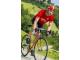 WILIER MAGLIA LANZAROTE JERSEY