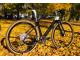 PINARELLO GREVIL+