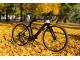 PINARELLO GREVIL+