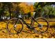 PINARELLO GREVIL+