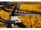 PINARELLO GREVIL+