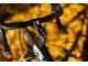 PINARELLO GREVIL+