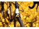 PINARELLO GREVIL+