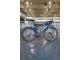 CIPOLLINI RB1K AD.ONE - COBALT BLUE