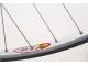 COLNAGO DREAM RABOBANK "CHAMP OF FRANCE"