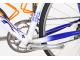 COLNAGO DREAM RABOBANK "CHAMP OF FRANCE"