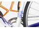 COLNAGO DREAM RABOBANK "CHAMP OF FRANCE"