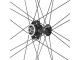 BORA WTO 33 DISC BRAKE