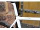 COLNAGO C64 DISC - CAMPAGNOLO SUPER RECORD EPS DISC
