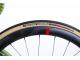 WILIER RAVE SLR