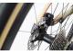 WILIER RAVE SLR