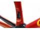 CIPOLLINI RB1K AD.ONE