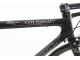 COLNAGO PRESIDENT 50th ANNIVERSARY
