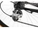 COLNAGO PRESIDENT 50th ANNIVERSARY