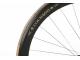 COLNAGO PRESIDENT 50th ANNIVERSARY