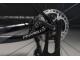 PINARELLO DOGMA X DISC XOLAR BLACK DURA ACE Di2