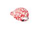 PAS OFF-RACE CAP