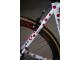 COLNAGO C59 ITALIA KOM | KING OF THE MOUNTAINS